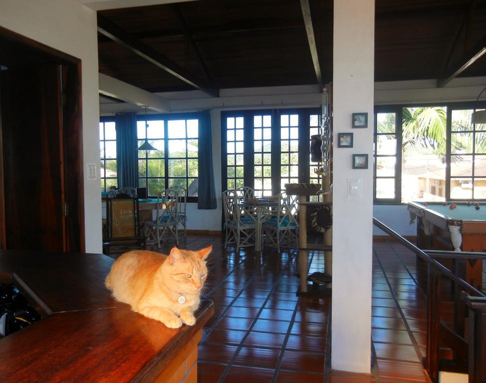 Hotel The Cats' House Florianópolis Exterior foto